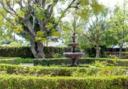 Amenity